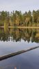 20201003_153552.thumb.jpg.5e03f81578f7fde3b7e6bc792f3e8f84.jpg