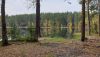 20201003_154253.thumb.jpg.4c59de0bb8382e3c7f3039843e80a958.jpg