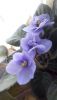 20201004_113206.thumb.jpg.2488614a7324b622e5bb2784140603ac.jpg