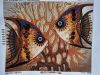 20201009_155707.jpg