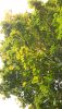 20201011_141927.thumb.jpg.24f6a3448a8b13f9e9c3638d44109d52.jpg