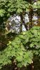 20201015_152146.thumb.jpg.16522884c7cf0c9bf62d433a08c93b66.jpg