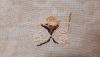 20201028_000117.jpg