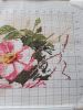 20201031_125347.jpg