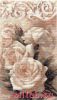 20312.thumb.jpg.00fe4719d3ed745ac737ffba91f062d8.jpg