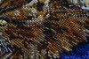 2124020478_NimueLeChalligraphe48.thumb.JPG.f84bd76156e81015d055a4eddf29398f.JPG