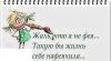 2385.thumb.jpg.4fb0a6ea07ae9543aa2cb227592bb6e2.jpg