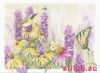 26273.thumb.jpg.bba80a42ee1897140dce1abcf54e98ec.jpg