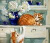 281135123_.thumb.jpg.a2f25b3c3771e831fcc22be4282dc6dc.jpg