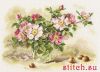 31627.thumb.jpg.9635fcccb31dd64af160a21f1c09ec05.jpg