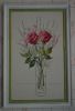 3922979_SketchbookRoses.thumb.jpg.df9057329cd600364083c6a28efefb79.jpg