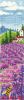 49724.thumb.jpg.b6cecb1be824f6386af360566fe21ffa.jpg