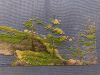 6F023770-1EDB-492E-8FF5-3721C3232C01.jpeg