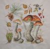 965068757_ShroomsBrown7.JPG.2e39570b4ea50fd16e0267a389d68f74.thumb.jpg.ceba84b7b044c08c84fbbbdebadfdeb5.jpg