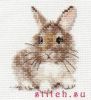 Bunny-1.thumb.jpg.63fe8ad06c49904906791ab9de7aca80.jpg