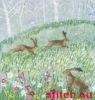Bunny-3.thumb.jpg.4f44a1af27a5bec5b2d9b41a31aeaa70.jpg