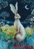 Bunny-5.thumb.jpg.43961fba11828978fb31f610cf00e275.jpg