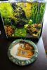 DSC02658.thumb.JPG.89187484bedb7ad7a56ff914450025f8.JPG