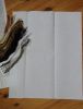 DSC07304.thumb.JPG.360f2a10d2dabbc168bebaf8581944c3.JPG
