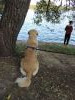DSCN0123.thumb.JPG.dda9b955c4e0bd0ed5e05a3eaffa123e.JPG?1601563352997