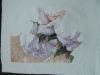 DSCN4544.JPG.f0d7b69130c702e02b1d2c960f148dca.thumb.jpg.e8ff271572c4ab9b249ae1542edff05f.jpg