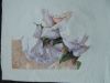 DSCN4544.thumb.JPG.b6963c21ca9789679bc92d146da18ef5.JPG