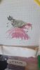 DSC_3157.thumb.JPG.80d62609dbd3f9f413c859a17e44f76f.JPG