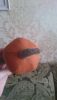 DSC_3170.thumb.JPG.68804fb17f76e137ef0485c3a90c3ee9.JPG