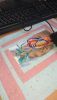 DSC_3183.thumb.JPG.bf0309b0bd06e28aeb077cdbe59ca4bc.JPG