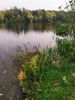 IMG-20200930-WA0019.thumb.jpg.8c85b59a1bdf4cbf3273621088ba6f99.jpg