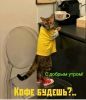 IMG-20201013-WA0018.thumb.jpg.ecd683c6b19ba57bc01c5cced7318b52.jpg