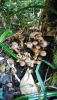 IMG-20201021-WA0000.thumb.jpg.1878e8084ff3808bf531390baf370749.jpg