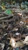 IMG-20201024-WA0000.thumb.jpg.f9ef1f4392d7583325debf6d113de8d8.jpg
