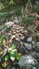 IMG-20201024-WA0002.thumb.jpg.4f9cfb294b8af636dd27314f5d8b566f.jpg