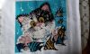 IMG-b15f26596baac6e329c4245dc7d773b9-V.thumb.jpg.6c984f32d0443d7e1e1a8a7b624db2e0.jpg