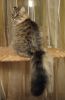 IMG_20200923_214711.thumb.jpg.ef67d311a3767ffd35a04f90f33219a1.jpg