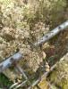 IMG_20200925_132032.thumb.jpg.b8494a6b45352a2775c4887c9c470184.jpg