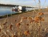IMG_20201001_161601.thumb.jpg.aecf99dc5f2437d7abb35cdbe84d8f1b.jpg