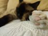 IMG_20201002_202403.thumb.jpg.a27a9b1b4c09c93b07cd98572174a627.jpg
