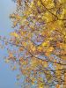 IMG_20201003_123546.thumb.jpg.f926e44f73fed6074c5c76cf390be6af.jpg