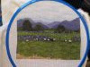 IMG_20201004_161700.thumb.jpg.51109ae04b7e15a522f9458f1a2eee1e.jpg?1601835538740