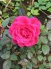 IMG_20201008_142840.thumb.jpg.99ac8a82cee4db0c7b51627fff2ac05a.jpg