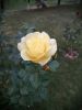 IMG_20201008_152317.thumb.jpg.a5f3a75c77f2ad5ef71dd5bf9590be25.jpg