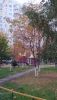 IMG_20201008_175331.thumb.jpg.90ecf6e894889ba2fcea119222ce9214.jpg