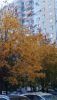 IMG_20201008_175409.thumb.jpg.a15b846a073d0db89b382a3c87b0e68f.jpg