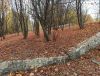 IMG_20201010_133921.thumb.jpg.0cc3ec8d54f5667fe75f3d4d55ff7a1d.jpg