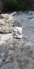 IMG_20201014_113434_846.thumb.jpg.6580d13db8a3147c623d0b8c95e5988d.jpg