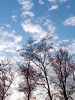 IMG_20201014_165408.thumb.jpg.ddd6a143bf05d49ddadd2d6284407f6f.jpg