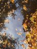 IMG_20201018_083645.thumb.jpg.8878f4303be5cca5ad67189b88df86b1.jpg