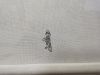 IMG_20201022_004637.jpg
